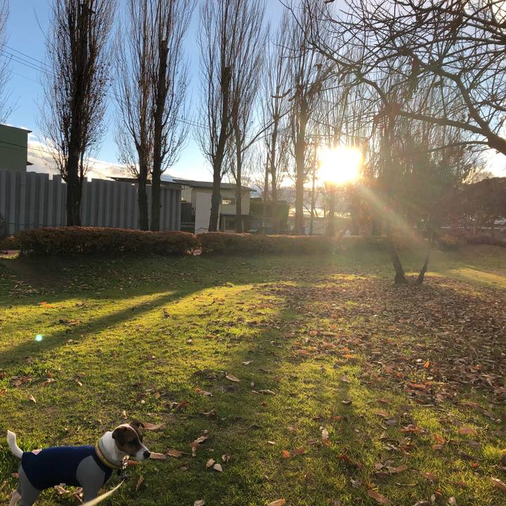 593b0488 8ab0 4a36 863c 4278417c24b6 1544339930748