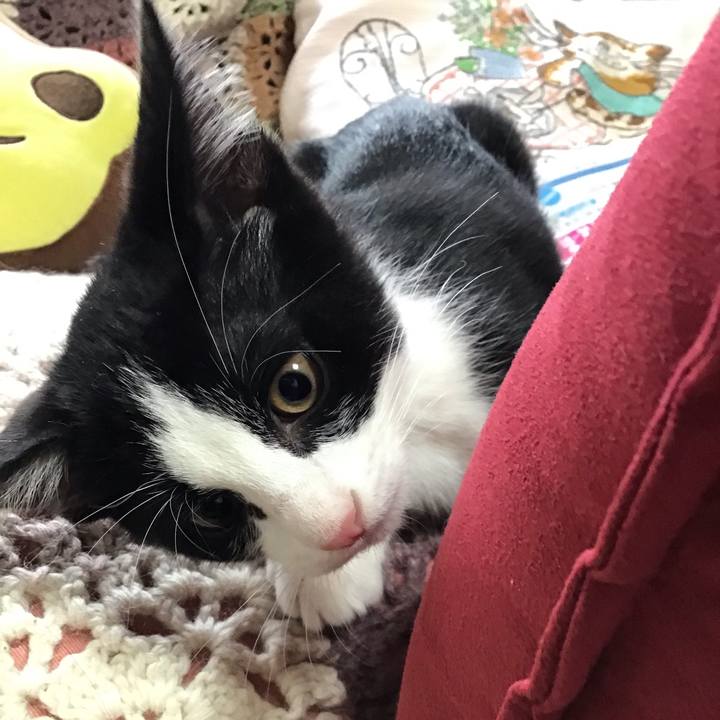 593b0c34 b674 41bf 8aa5 95af70663eb1 1626240597450