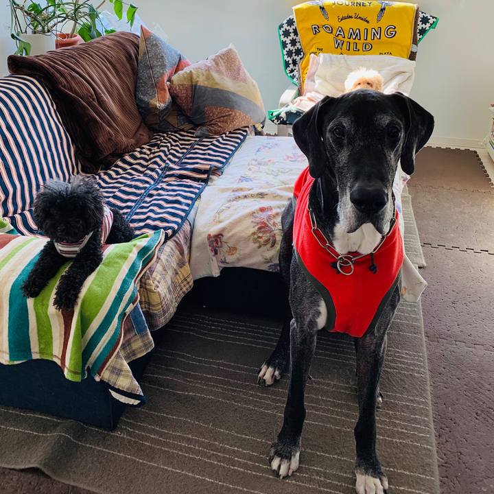 593b0edc 27b3 4a85 8ca3 c2a87f1c111d 1586903995334