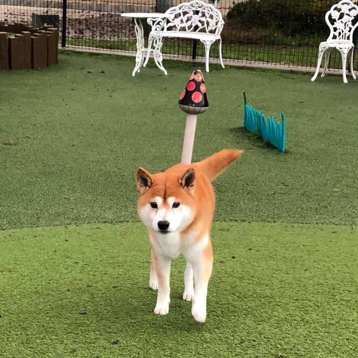 593b121f f491 48bd bad6 07173ee49bcc 1764062746997