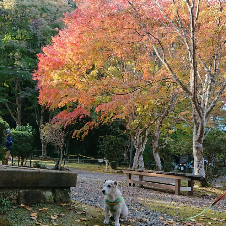 593b12f5 0c14 46d7 bc6d e618d46d43b9 1543060593447