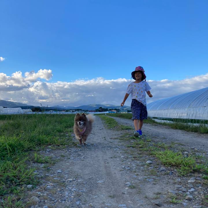 593b3489 711e 411c b973 70be569e9e0c 1661727962665