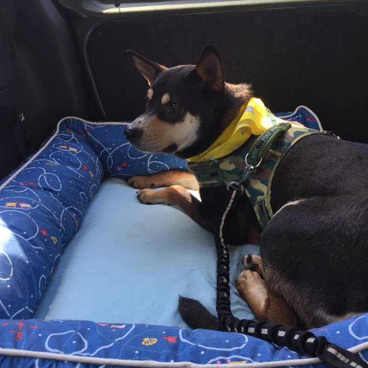 593b5fbf c10f 43e4 8ffc acac0a1ab939 1525436802657