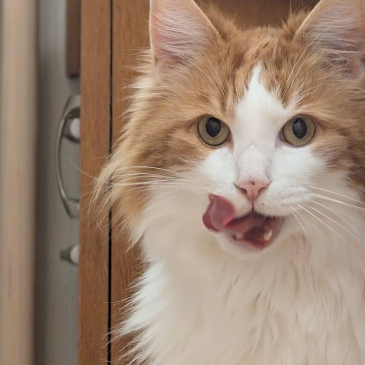 593b6bd7 d324 4c57 a055 e78fa887c7b3 1745758064824