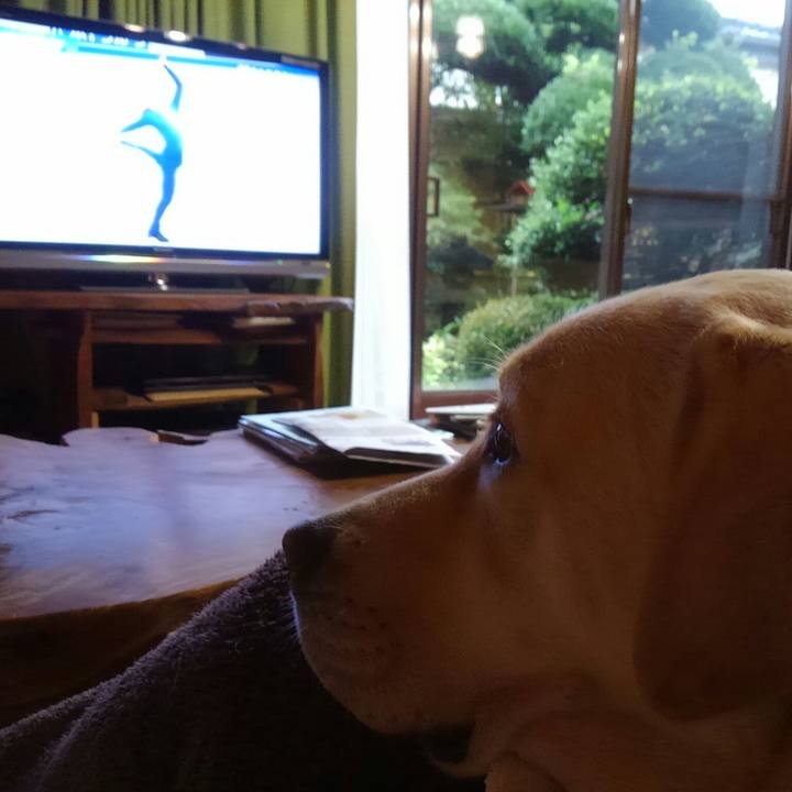 593b7808 4add 4c66 9778 7f01ae3a263b 1509245674826