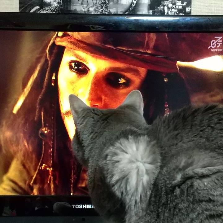 593b9455 bf95 4c32 8954 336c47f18c74 1674218984661