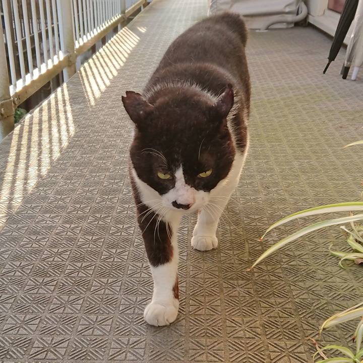 593bb1b1 7645 4446 b225 38431bebe688 1629970972240