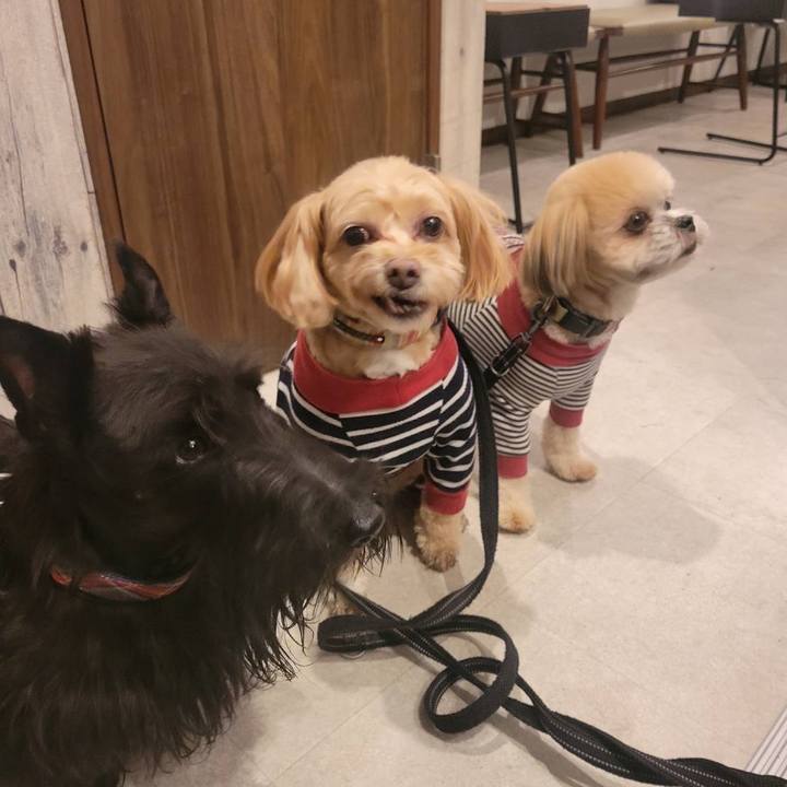 593bb45e 3ea4 4bac 9d0f 0fef9e93f5b9 1763507464921