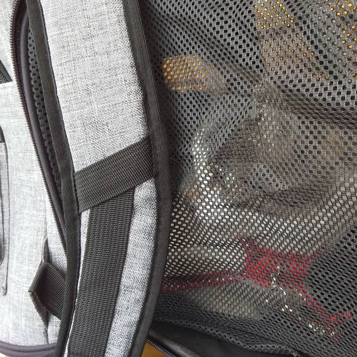 593bba63 3de0 4c9b be31 f5cc8f44b6a6 1651029650284