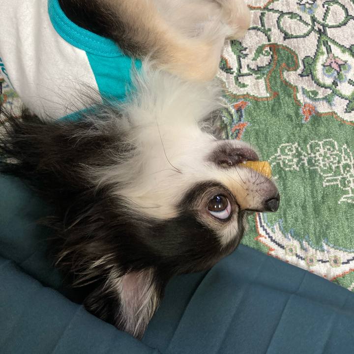 593bbbd6 9e93 4ead b0f6 69301624c2cd 1656251037812