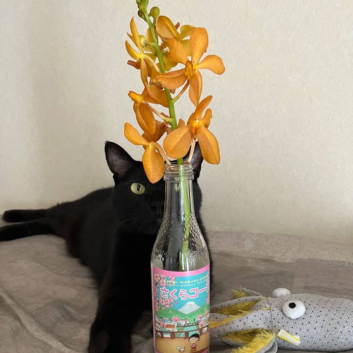 593bc2e7 ef27 4670 a544 312ef0501bff 1691220842405