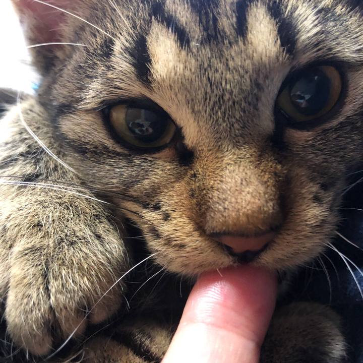 593c1dbb 004c 43de 99a2 626c82798d1f 1737758266778