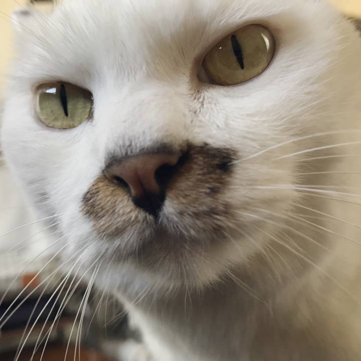 593c1f0c 9587 42ab b666 4376267b0085 1539666995340