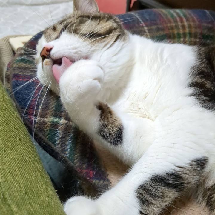 593c221c e65a 4cc1 a304 c9f328eb1747 1696312230644