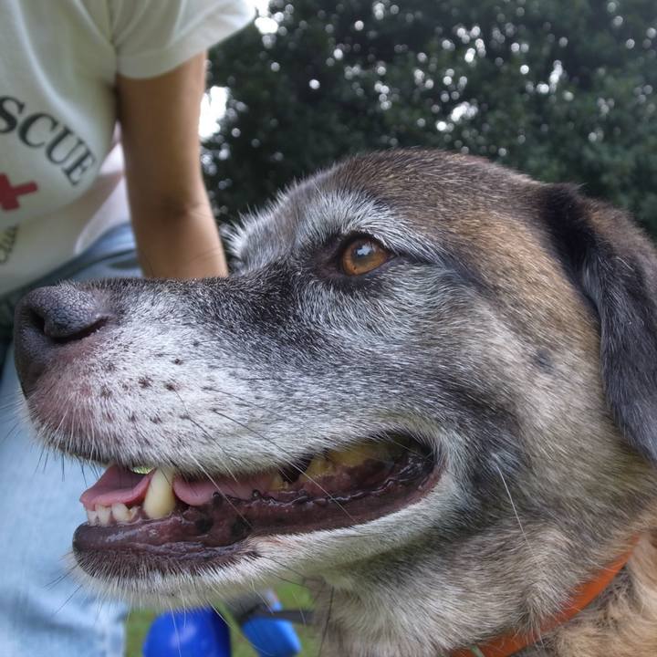 593c5282 9d86 4167 8abd 0178d9e3db9c 1590058537267