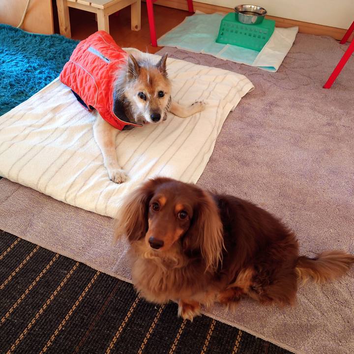 593c5f61 4ec2 47b2 8734 3941073adf51 1639789122840