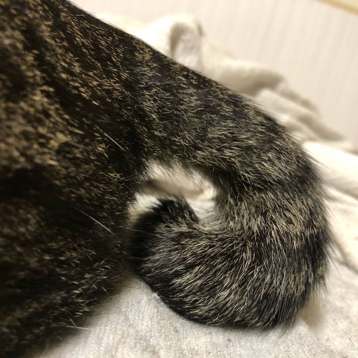 593cdc26 a594 4872 9155 1eed076d7a23 1634968756948