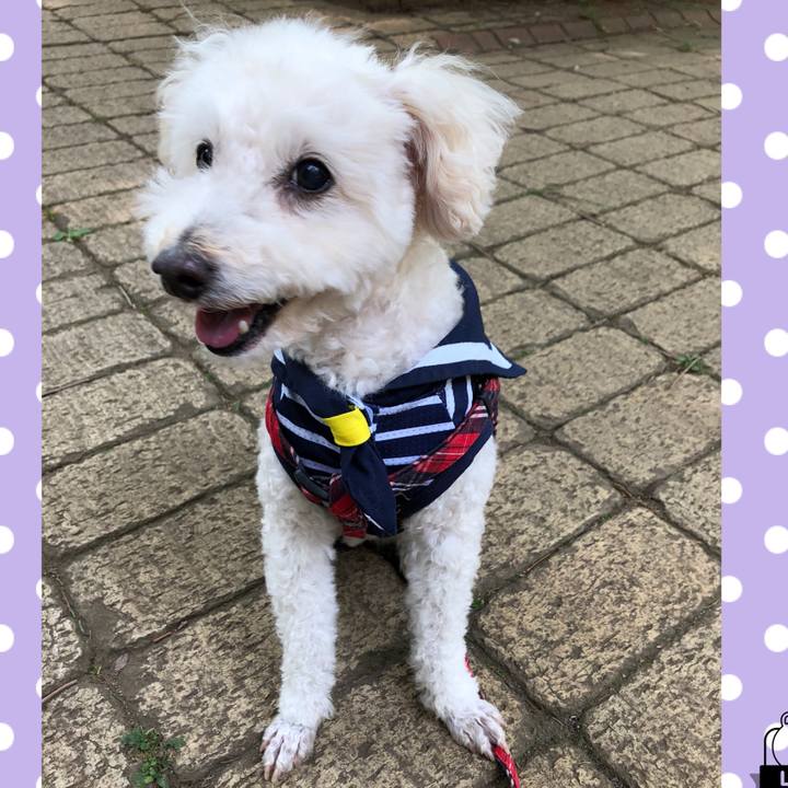 593d03ec 6206 4d68 82e5 9b5134dfa9ee 1526480166633