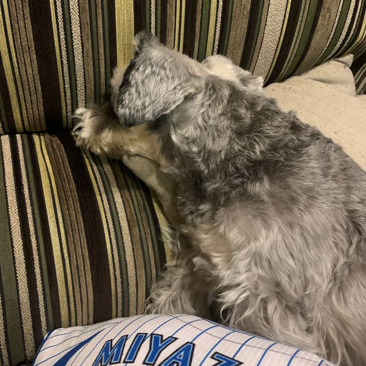 593d15a2 0dff 4e56 9149 d23045fa8f36 1599641549635