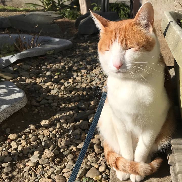 593d2026 1c48 44de 9e20 d1b3fd09ca49 1512610957953