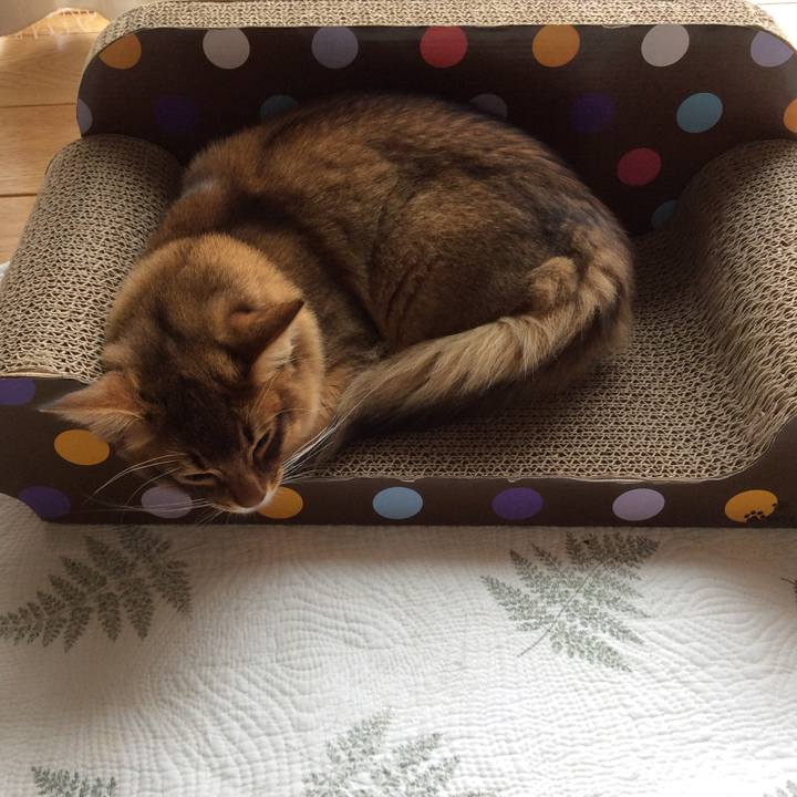 593d4052 6768 4300 b08f f5e4baaa16c1 1576549048903