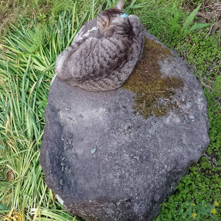 593d98b7 26f4 4918 b0d7 f55321b6ba69 1559641708573