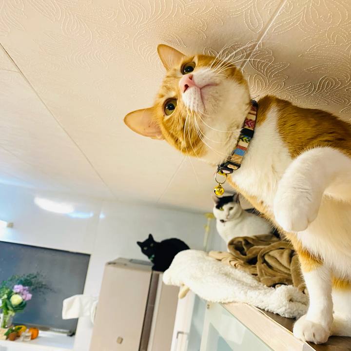 593da3bd 9b5f 4f25 83b2 0333783a7ed4 1672700116001