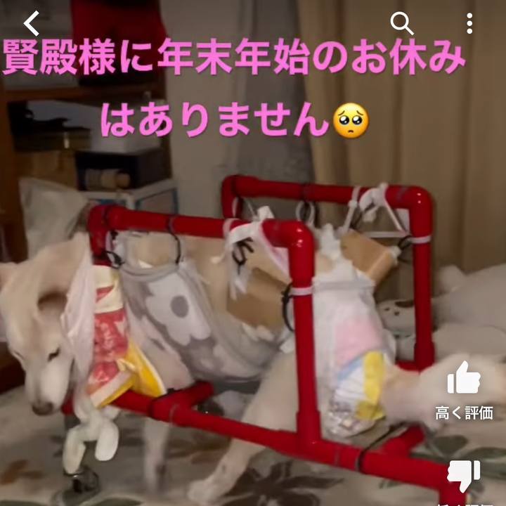 593dcb4d 2295 40c3 b80f 796f20609ce9 1672264511628