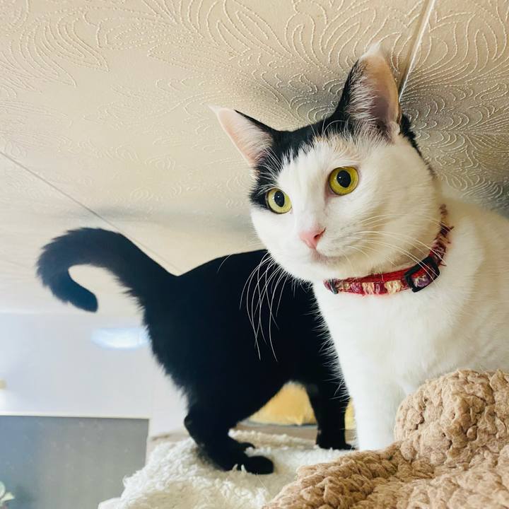 593df628 e862 4fd0 8faf b279e9c16338 1701957595208