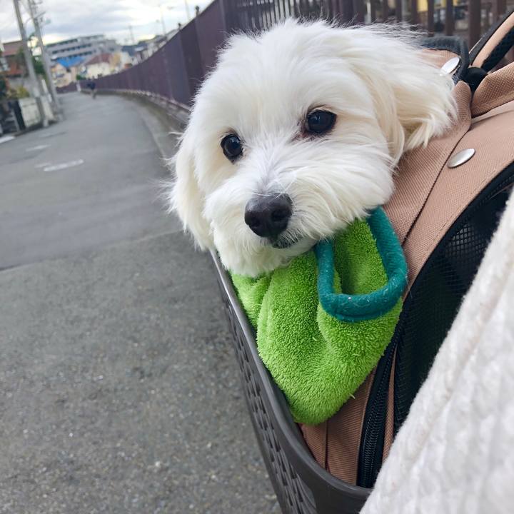 593e1b9c d053 413c 8c31 1f2b2bdbf878 1577428835278