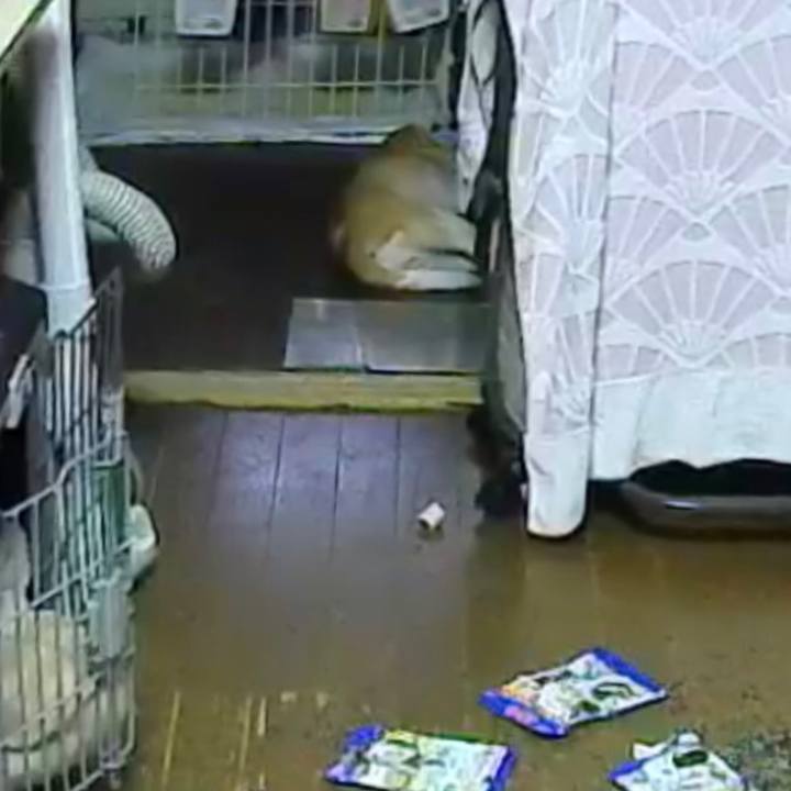 593e2b94 6a63 464c 907c 9e28a5c1aac0 1534824268814