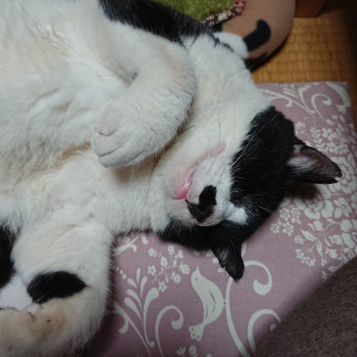 593e79a6 8fec 467f 87c5 e95b1bdd3db3 1603454543961