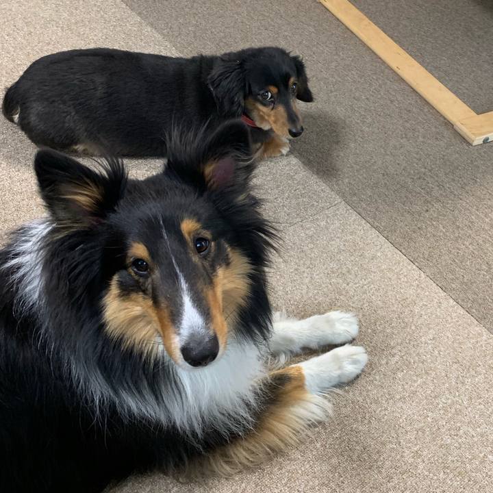 593e7f1e 8590 491e 9265 0153bbc0b740 1554933762987