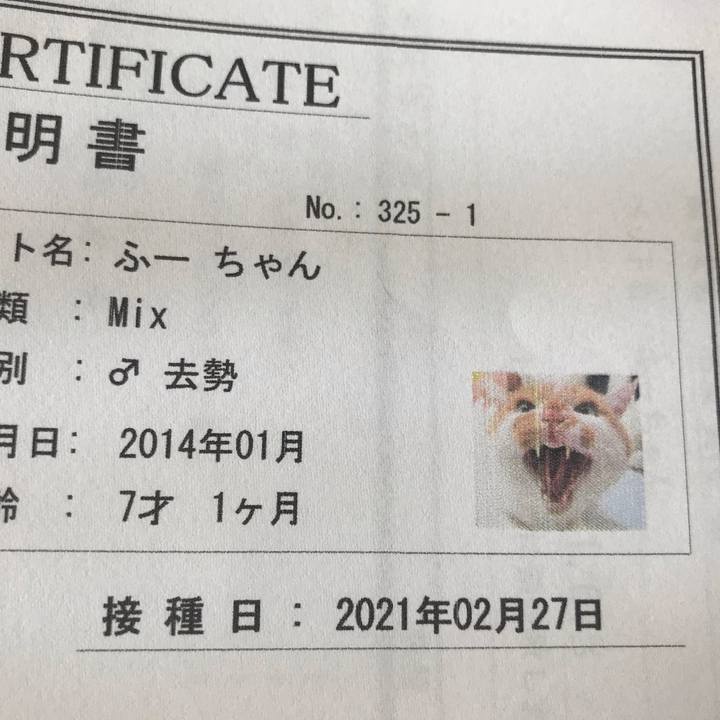 593ed521 45fe 41a6 b957 303bd6e9373d 1614427117487