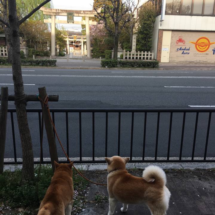 593ed9c8 e27c 4674 b118 f04bd7701a66 1522563044226