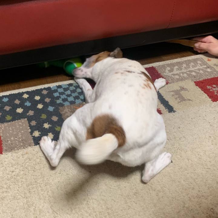 593ee447 8668 4ff7 a42d bf54f3fc72bd 1556765634571