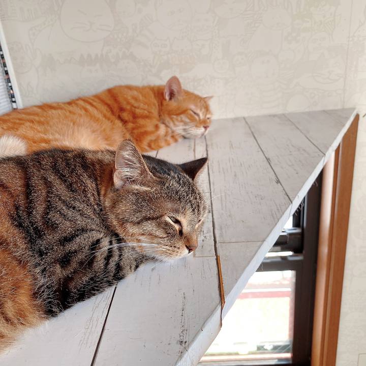 593f38ca 8607 463f bf4a c0976299c2f7 1598059024065