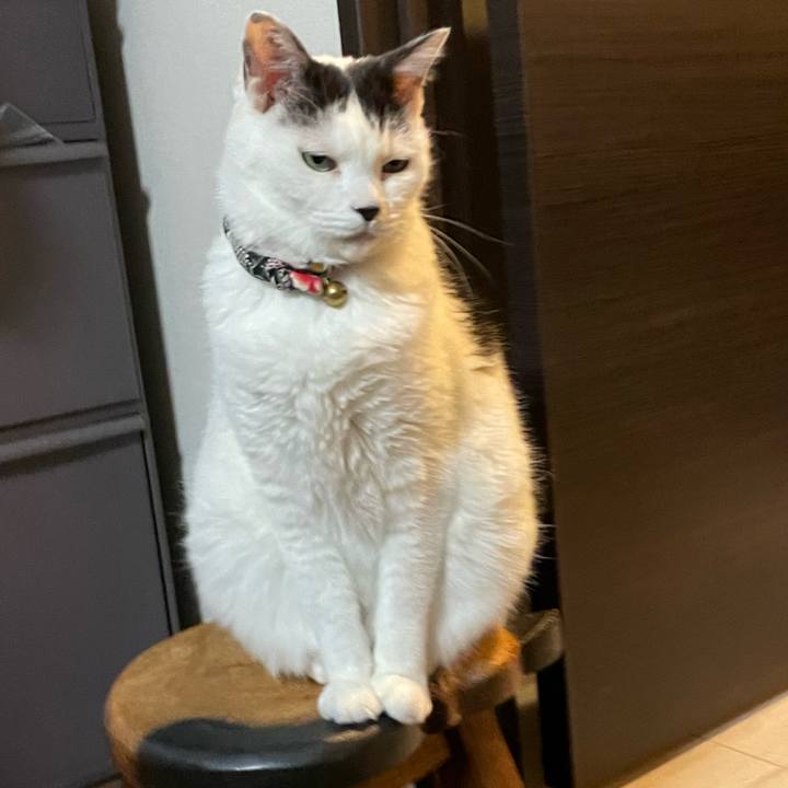 593f7a00 836d 42e6 a6a4 deb7268cf31f 1698503380099