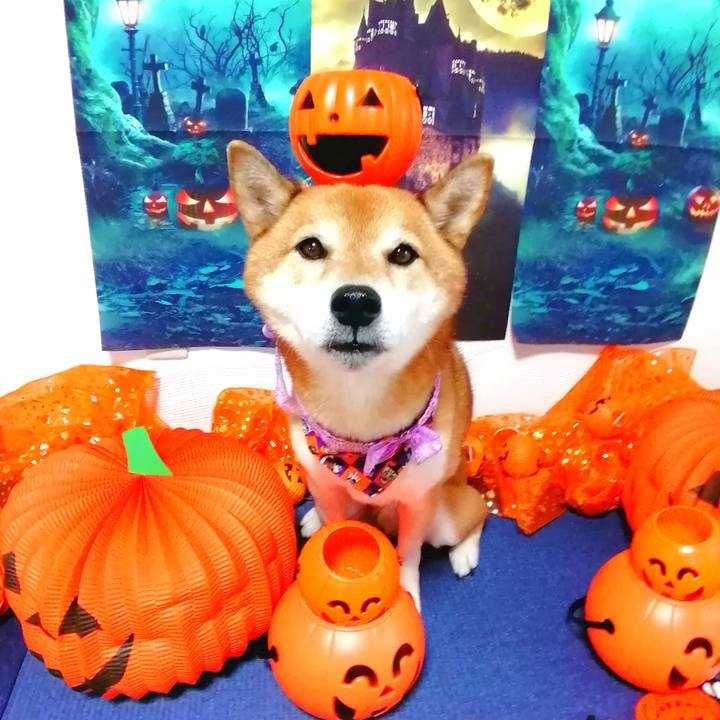 593f941d 4714 4632 bff1 22d3c0a6cf7b 1666777961727