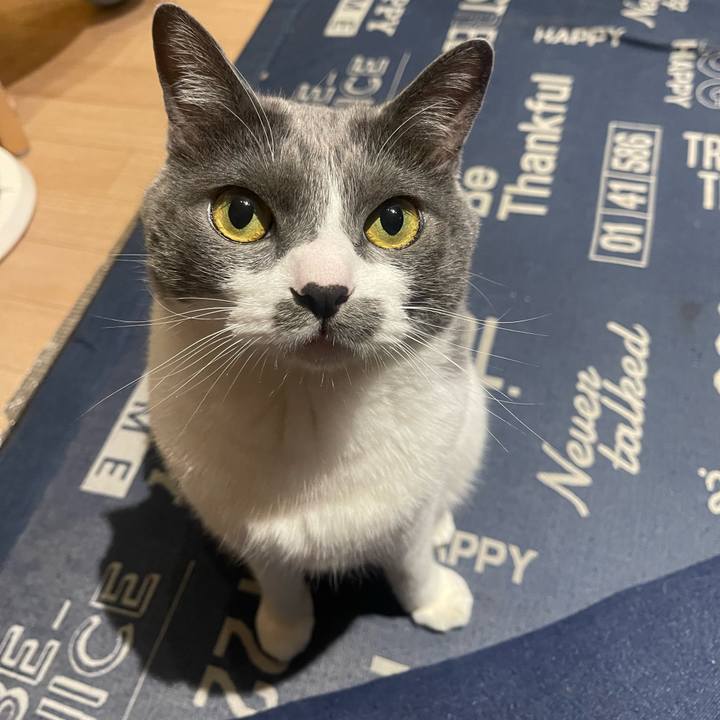 593fba02 ead3 4bff 94b3 3635afb0fe93 1748612496211