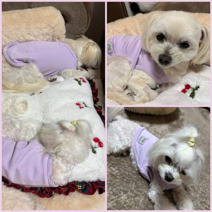 593ff761 1c17 4e6e 82e5 8afbcad1f75b 1740301753627