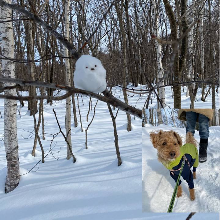 59400a9a 5682 4cd8 8ee5 6ed19a4319f6 1645249661073