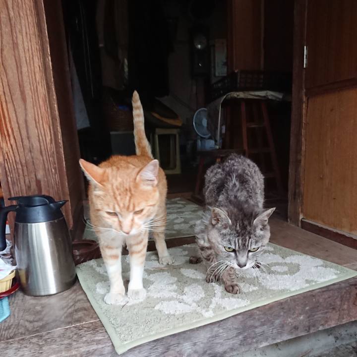 59400fd9 76cf 4779 9722 1530772b98e2 1591954252691