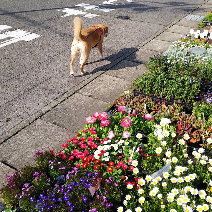 59401a8d 988b 45e6 ac1e f6af6867ea3c 1553324588518