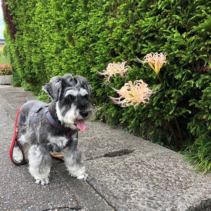 59403a63 303f 4d4d 8223 2e73704fab65 1663578899537