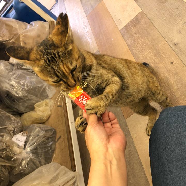 59405f29 3eb7 46d2 9435 649e56283aff 1604809082290