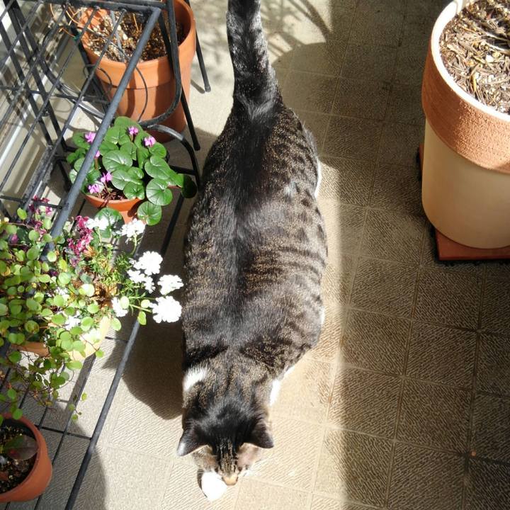 594066a8 88e3 447d 9a26 3c8233364d2e 1519866716286