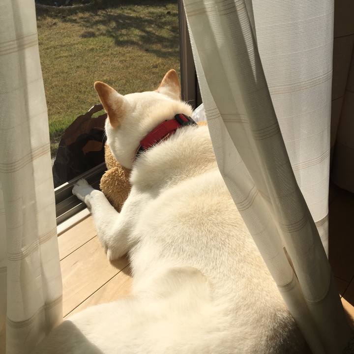 59407530 9bc7 4870 9722 c0b51d571a33 1543375452449