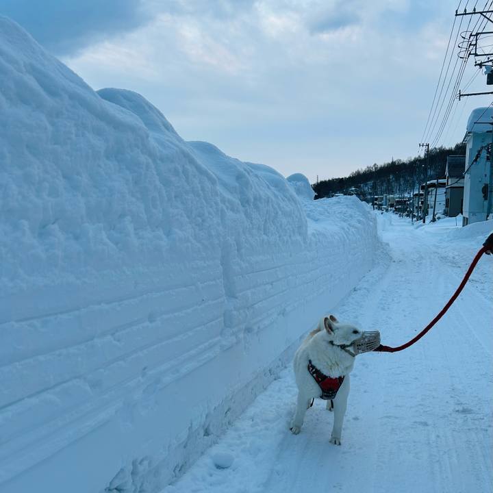 59407966 910c 4e59 a38b 89327138b09c 1705019412536