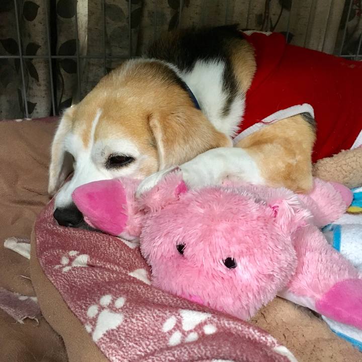 594084c9 fa25 49fd bff4 715da661fce6 1541219626639